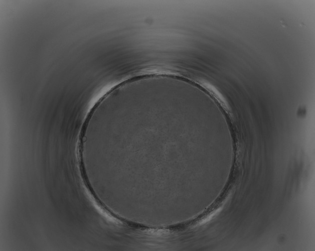 X0000093490893200710191225