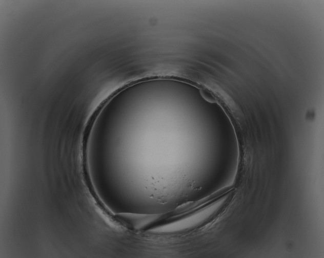 X0000093490894200710191225