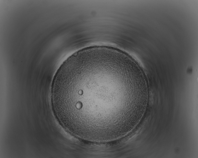 X0000093490895200710191225