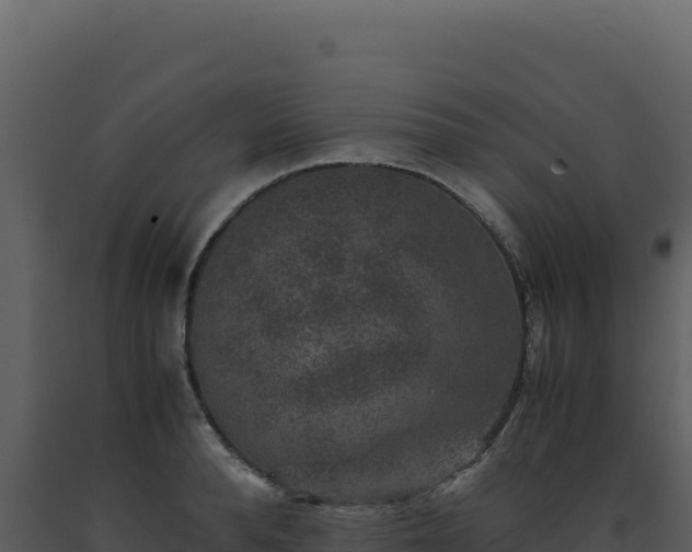 X0000093490896200710191225