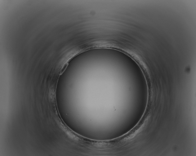 X0000093490897200710191225