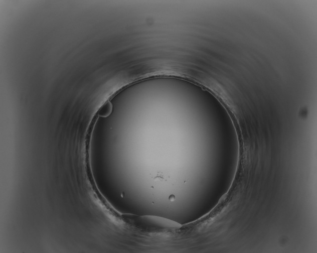 X0000093490898200710191225