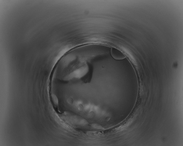 X0000093490899200710191225