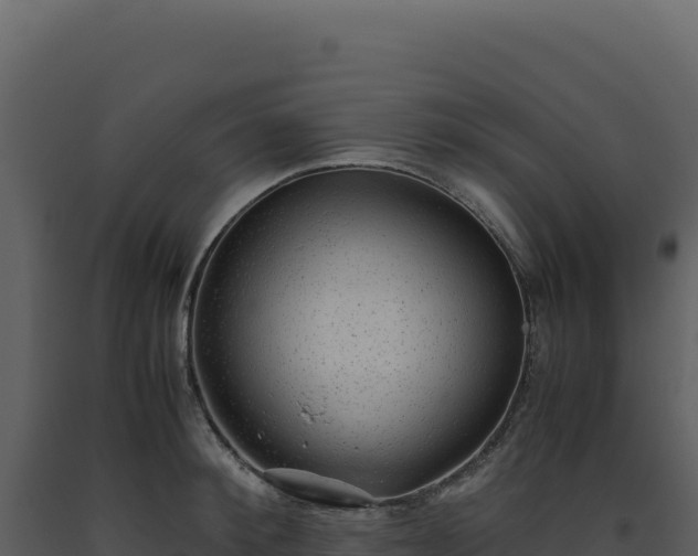 X0000093490900200710191225