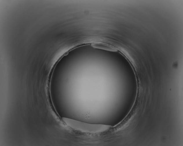 X0000093490901200710191225