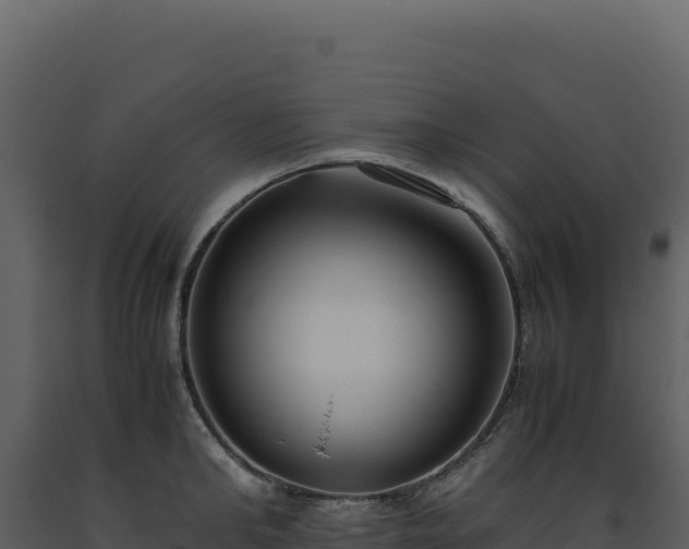 X0000093490902200710191225