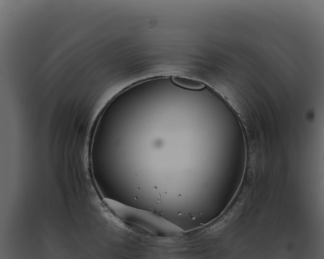 X0000093490904200710191224