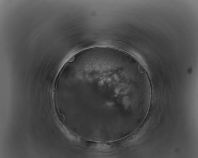 X0000093490907200710191224