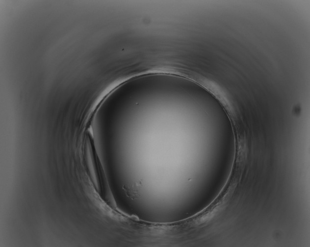 X0000093490908200710191224
