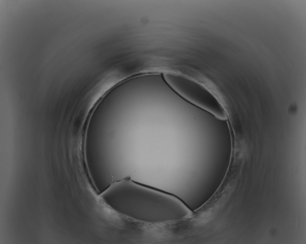 X0000093490909200710191224