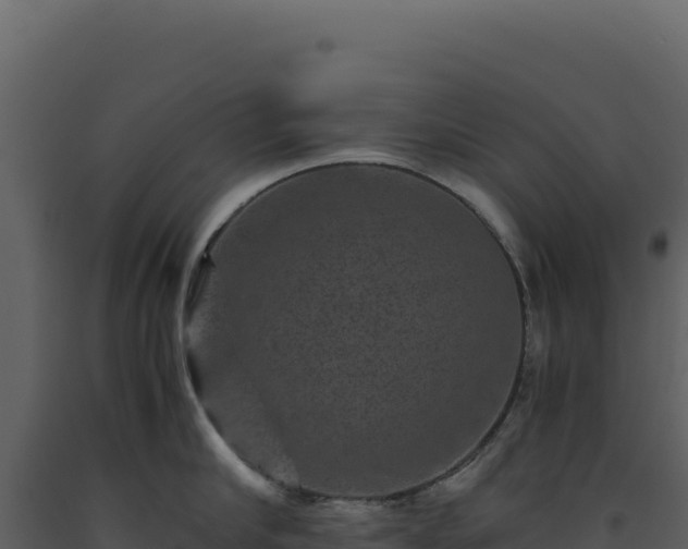 X0000093490910200710191224