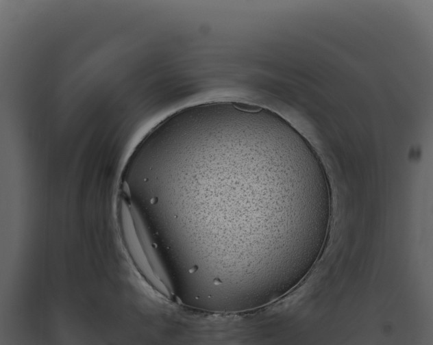 X0000093490912200710191224
