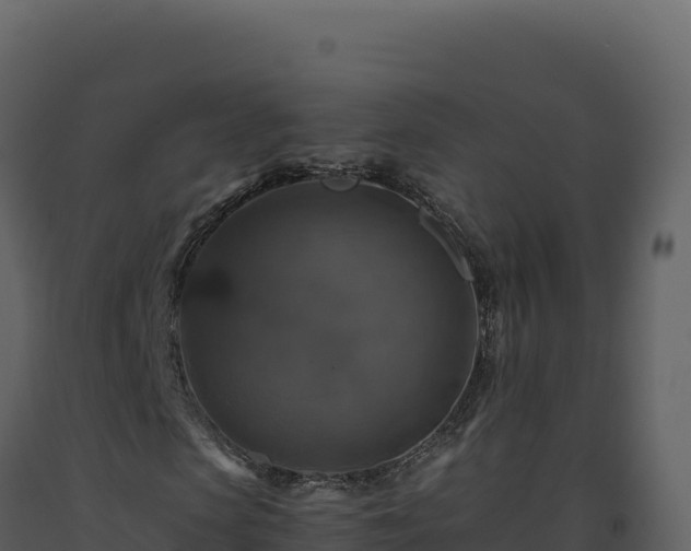 X0000093490913200710191224