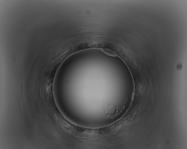 X0000093490914200710191224