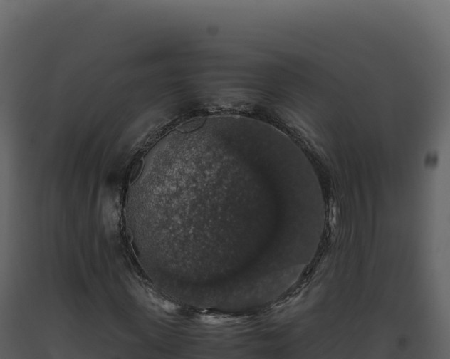 X0000093490915200710191224