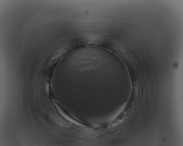 X0000093490916200710191224