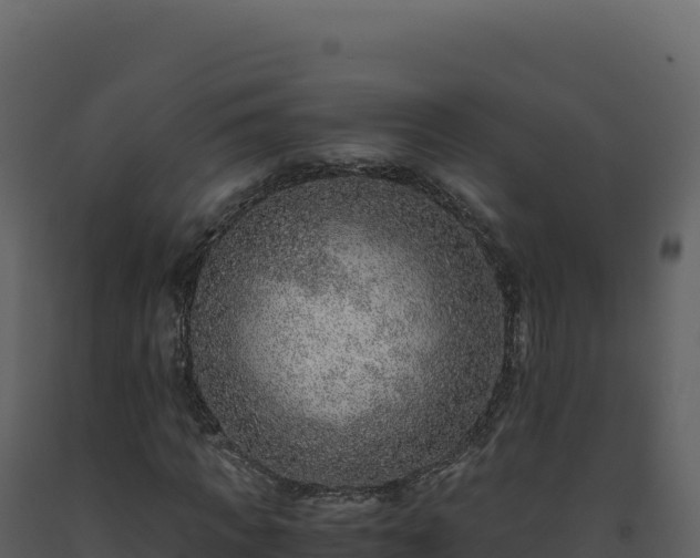 X0000093490917200710191224