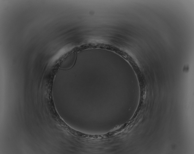 X0000093490919200710191224