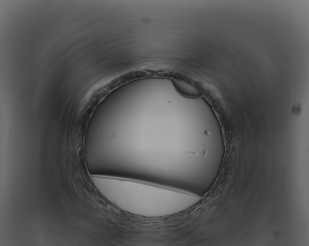 X0000093490920200710191224