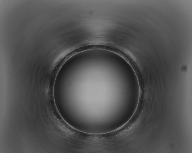 X0000093490922200710191224