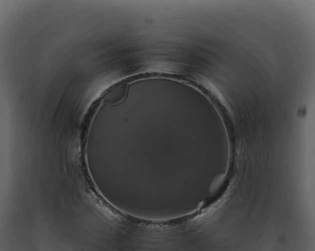 X0000093490923200710191224
