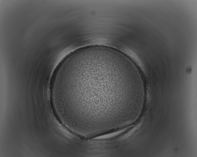X0000093490924200710191224