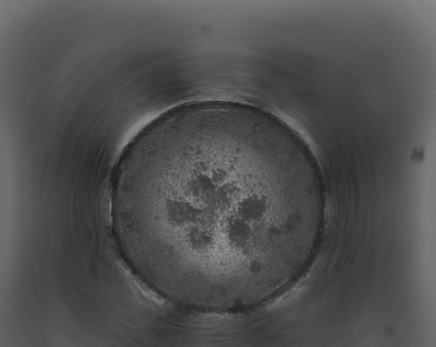 X0000093490925200710191224