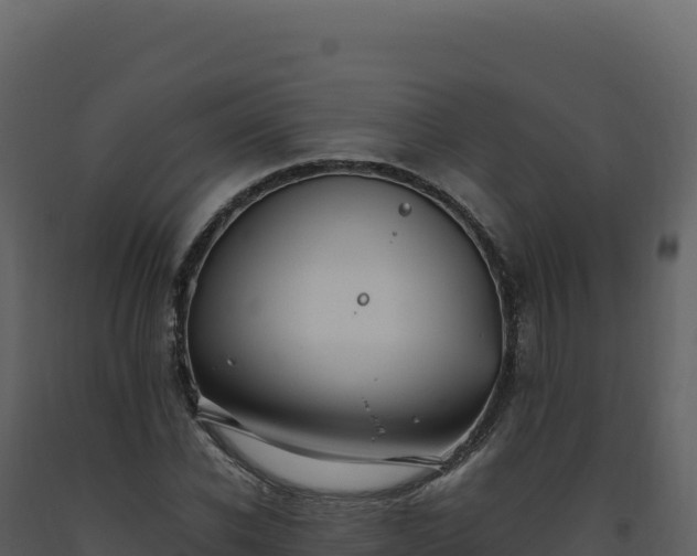 X0000093490926200710191224