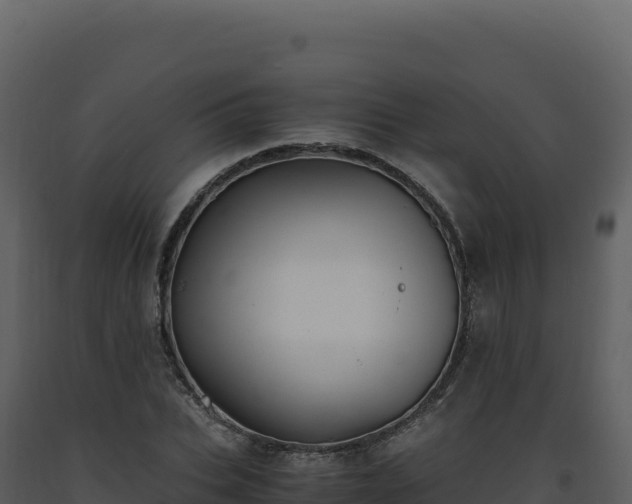 X0000093490927200710191224