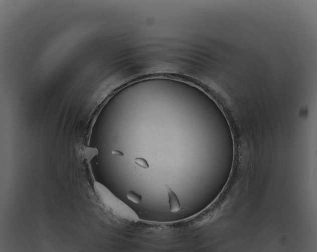 X0000093490929200710191224