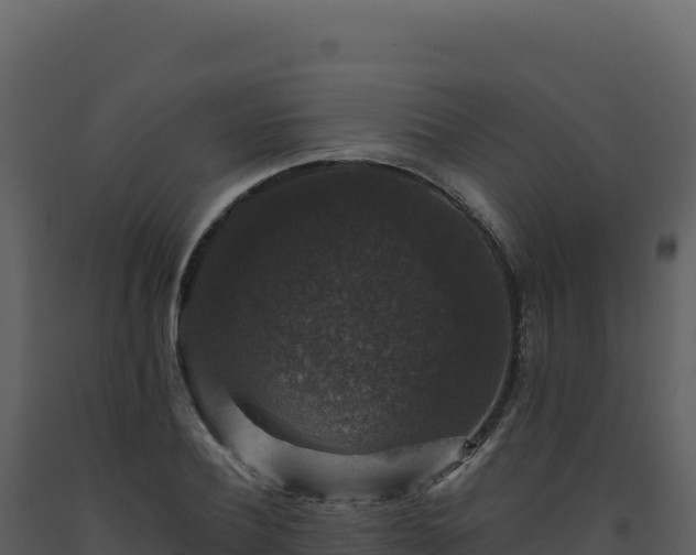 X0000093490932200710191224