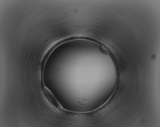 X0000093490934200710191224