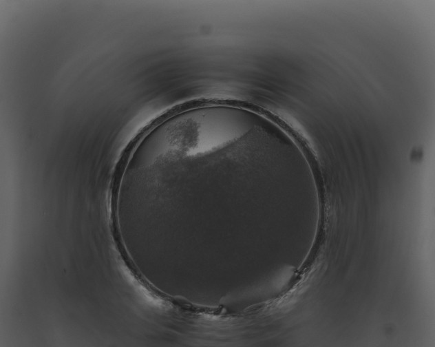 X0000093490935200710191224