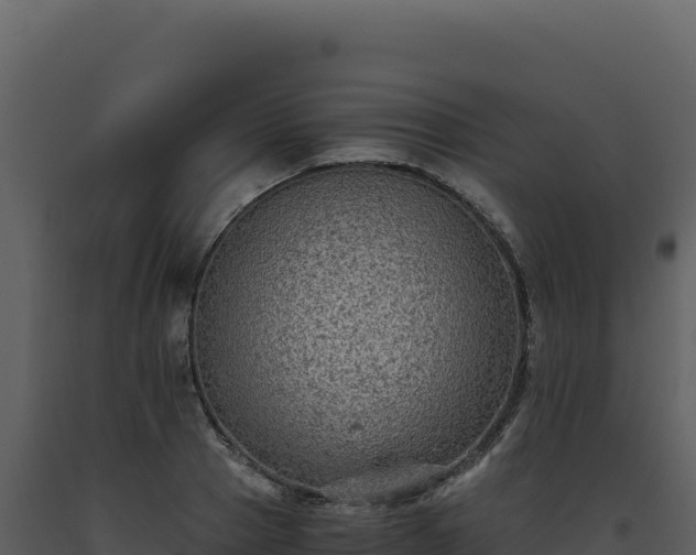 X0000093490937200710191224