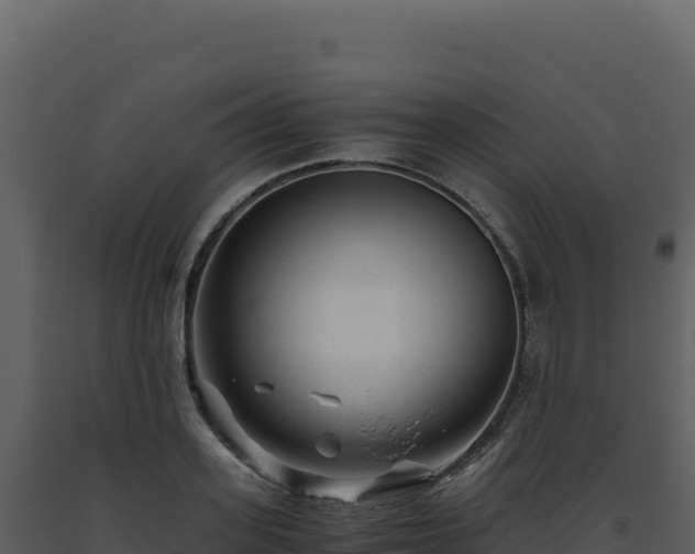 X0000093490939200710191224