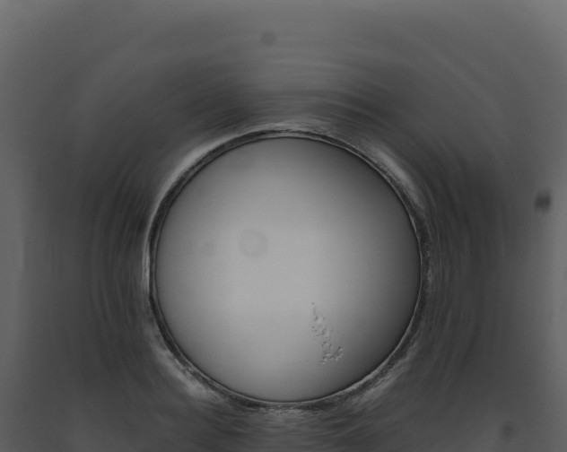 X0000093490940200710191224