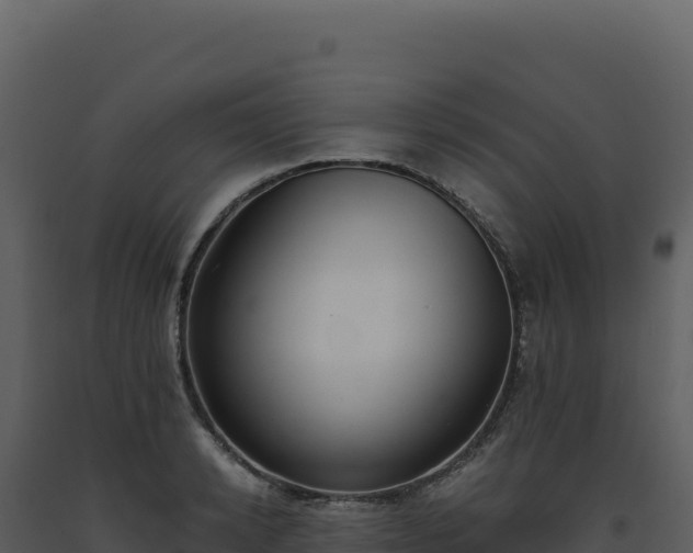 X0000093490942200710191224