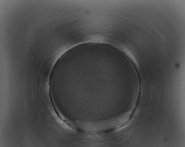 X0000093490944200710191224