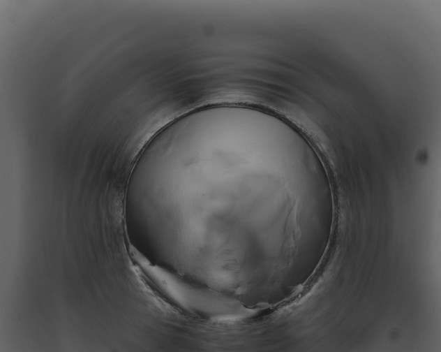 X0000093490945200710191224