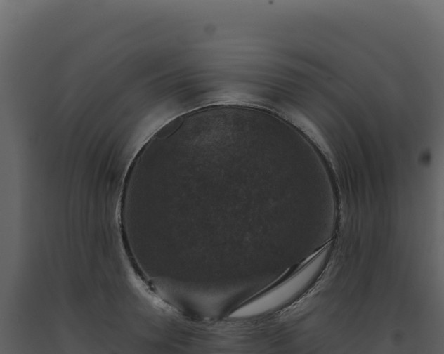 X0000093490946200710191224