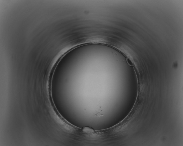 X0000093490947200710191224