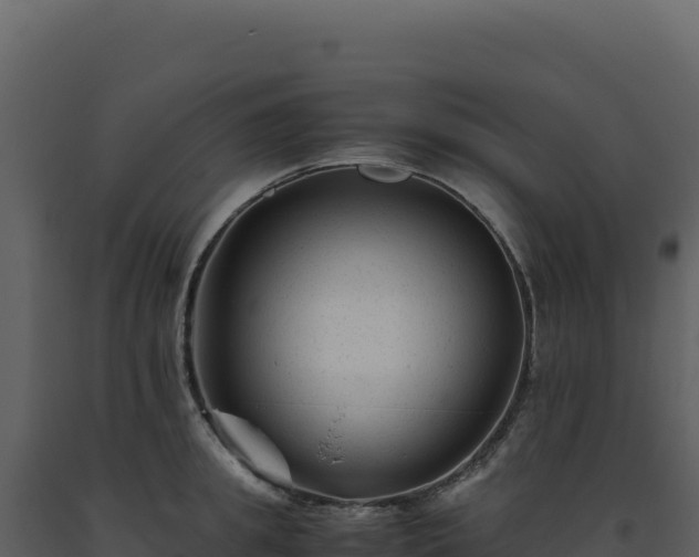 X0000093490949200710191224