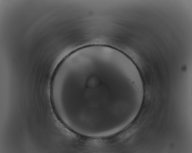 X0000093490950200710191224