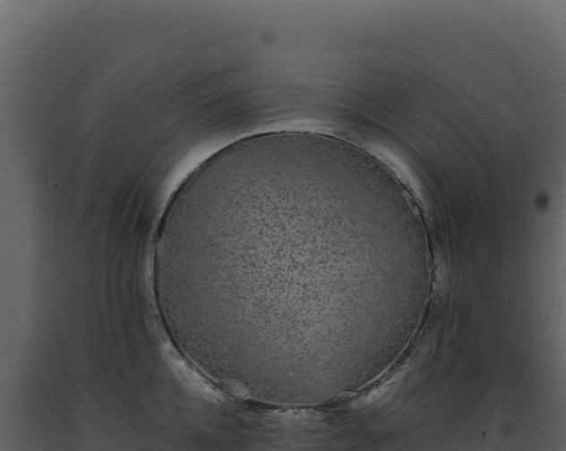 X0000093490952200710191224