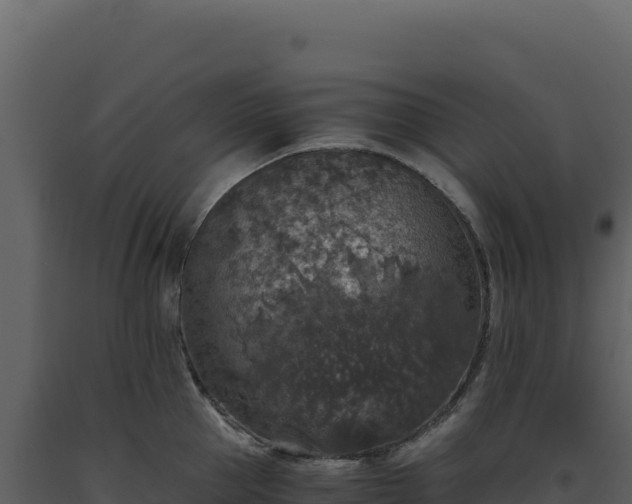 X0000093490953200710191224