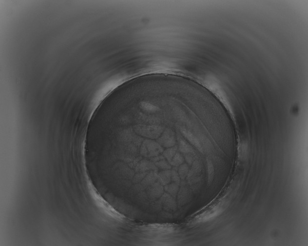 X0000093490954200710191224