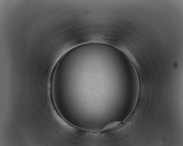X0000093490955200710191224