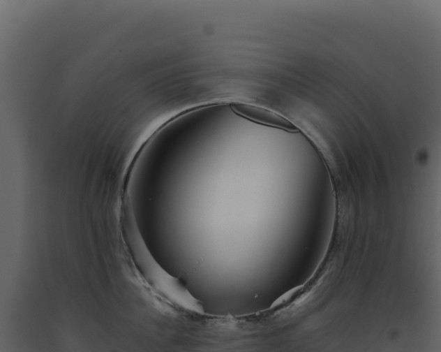 X0000093490956200710191224