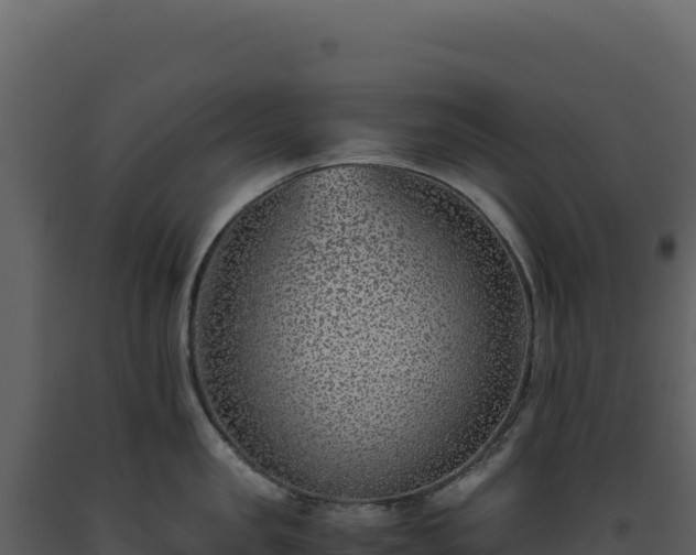 X0000093490957200710191224