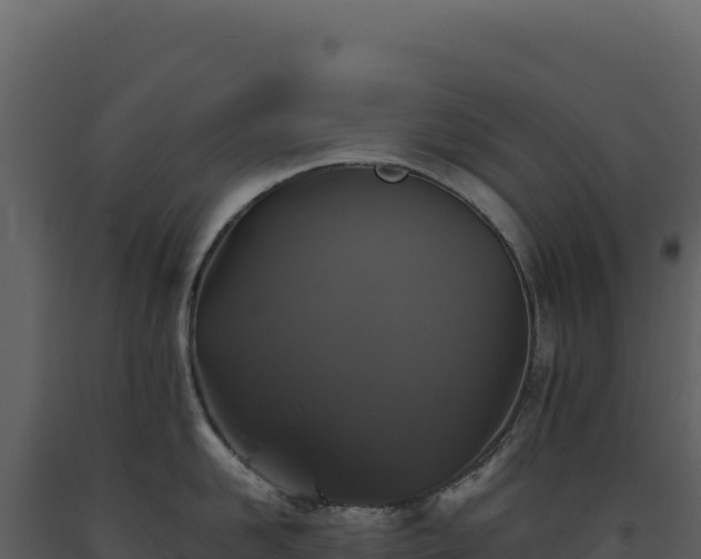 X0000093490958200710191224